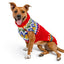 Holiday Fairisle Dog Sweater