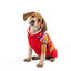 Jolly Red Dog Sweater