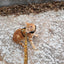 Holster Leash (Made in USA)