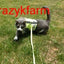 Holster Leash (Made in USA)