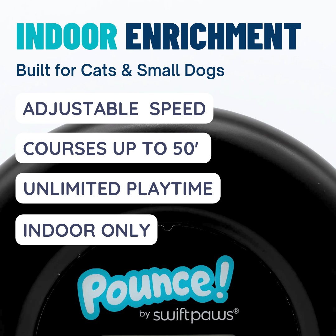 Pounce! Kit