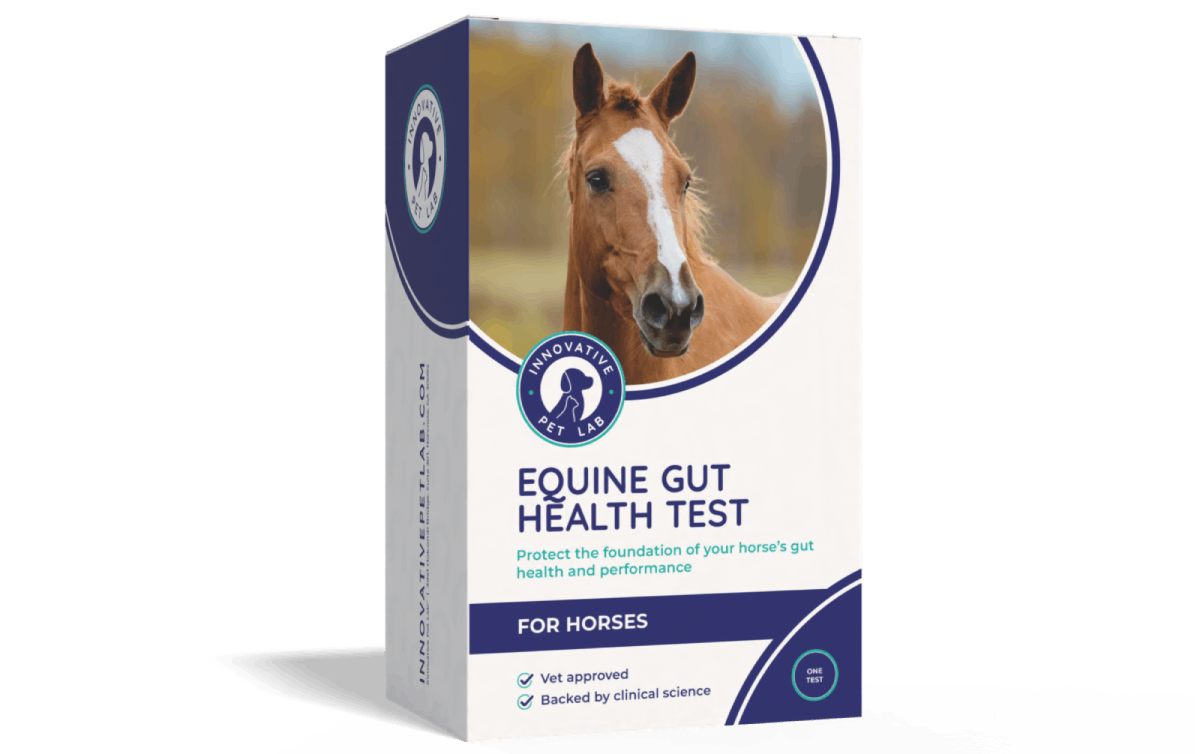 Equine Gut Health Test for Horses