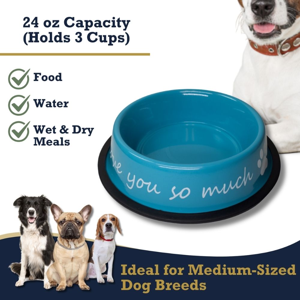 "I Love You So Much" Stainless Steel Dog Bowl, 24 oz