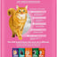 Iams Proactive Health Sensitive Digestion & Skin Turkey Dry Cat Food