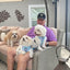 Flocktail Hour  - Adjustable Dog Harness