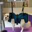 PET GROOMING SLING