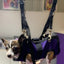 PET GROOMING SLING