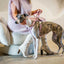 Dusty Pink Velvet Set