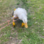 Ducky’s wheelchair