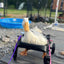 Ducky’s wheelchair