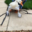Ducky’s wheelchair