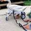 Ducky’s wheelchair
