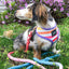 Dog Rope Leash - Jack & Jill