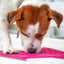 Flower Power emat - Enrichment Lick Mat for Dogs and Cats | Flower Design | USA Made