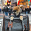 Mr. Peanut's Gold Series Standard Size Airline Compliant Pet Carrier