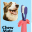 Chewmate Pro Toothbrush for Dogs