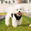 Mr. Peanut's PupTrek Soft Mesh Pet Harness with Matching Leash – Adjustable, Breathable, Choke-Free