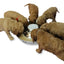 Stainless steel Weaning puppy food bowls