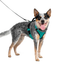 Petsafe Easysport Harness Teal Md