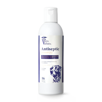 Ketoconazole / Chlorhexidine Medicated Dog Shampoo