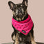 What-A-Melon Cooling Bandana