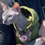 NO RAT PVC Morale Patch