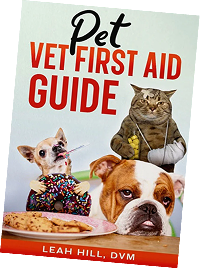 Pet First Aid Kit – Veterinarian-Curated Emergency Supplies & Guide