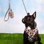 Chocolate Cow Adjustable Harness