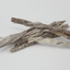 Tickled Pet Icelandic Codfish Skin Twists Dog Treats (5oz)