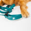 The Modern Dog Company - Forest Green Adjustable Leash