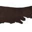 Leather Training Tab