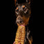 Beef Trachea (Grass Fed & Finished)
