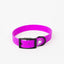 The Modern Dog Company - Electric Fuchsia Collar (Weather + Odor Resistant)