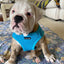 Mr. Peanut's PupTrek Soft Mesh Pet Harness with Matching Leash – Adjustable, Breathable, Choke-Free