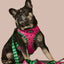 What-A-Melon Reversible Harness