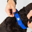 The Modern Dog Company - Royal Blue Collar (Weather + Odor Resistant)