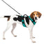 Petsafe Easysport Harness Teal Lg