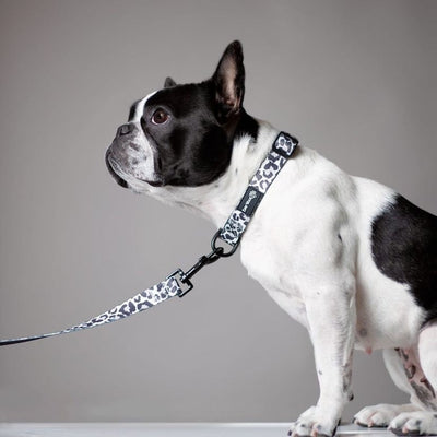 Ever So Wild Collar