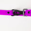 The Modern Dog Company - Electric Fuchsia Leash (Weather + Odor Resistant)