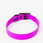 The Modern Dog Company - Electric Fuchsia Collar (Weather + Odor Resistant)