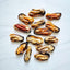 Green Lipped Mussels