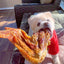 Turkey Wing