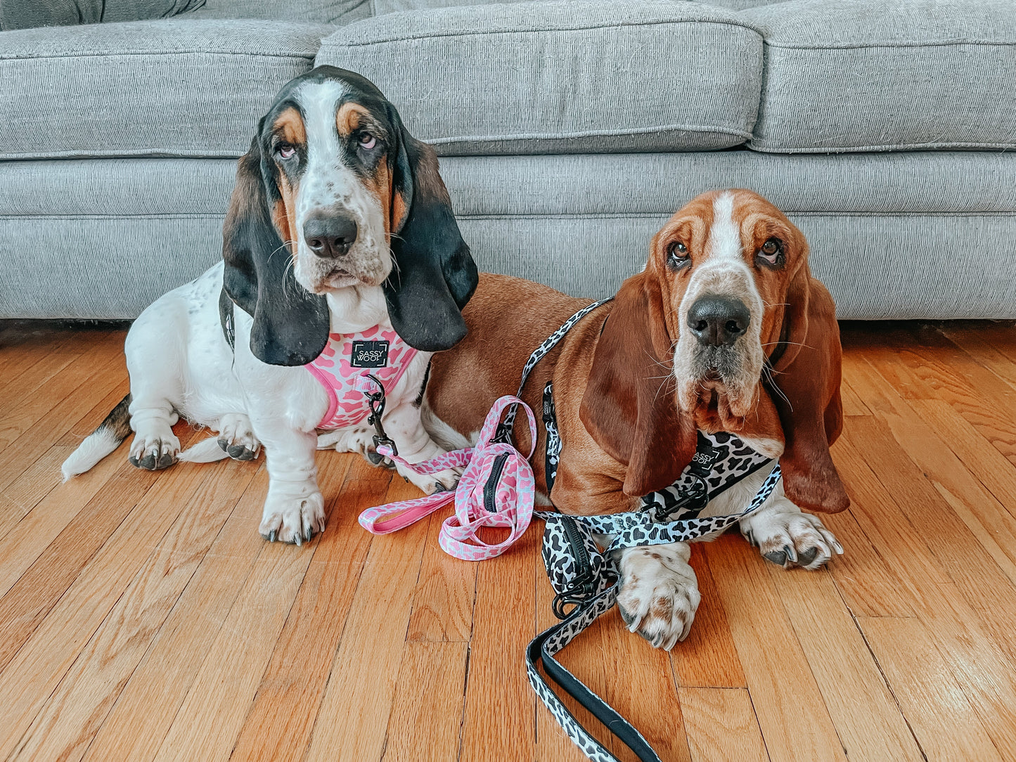 Dog Adjustable Harness - Whole Milk