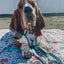 Dog Leash - Peanuts™ Beagle Scouts