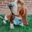 Dog Adjustable Harness - Winter Waddleland