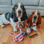 Dog Leash - Strawberry Milk