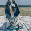 Dog Leash - Peanuts™ Beagle Scouts