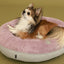 Chester & Lee | Light Pink Donut Dog Bed