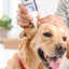 Veterinary Ear Flush for Dogs and Cats 8oz- Clear Therapy Cleaner Alcohol-Free, Itch-Relief Yeast Infections, Supports Healthy Canals - Optimized Solution Dog Washing, White/Clear
