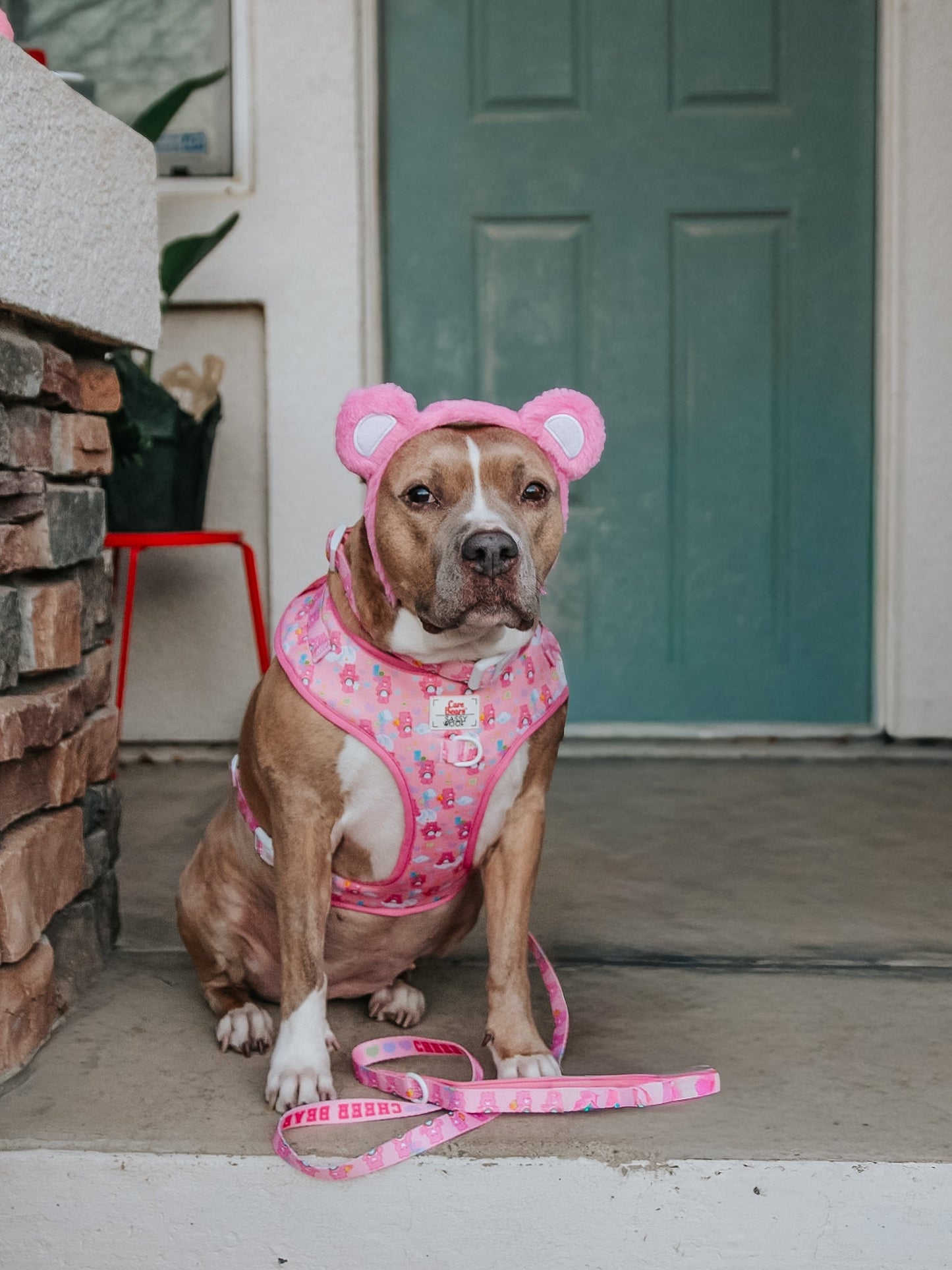 Dog Adjustable Harness - Care Bears™ Cheer Bear